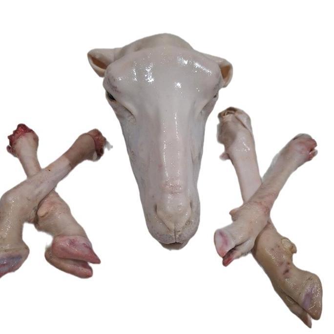 Terlaris Kepala Kambing Fresh Dan Satu Set Kaki