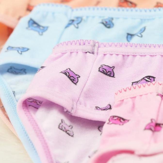 Diskont Scelta - Cd Remaja Celana Dalam Teen Teenager Perempuan Girl Scelta Cd Sct 124