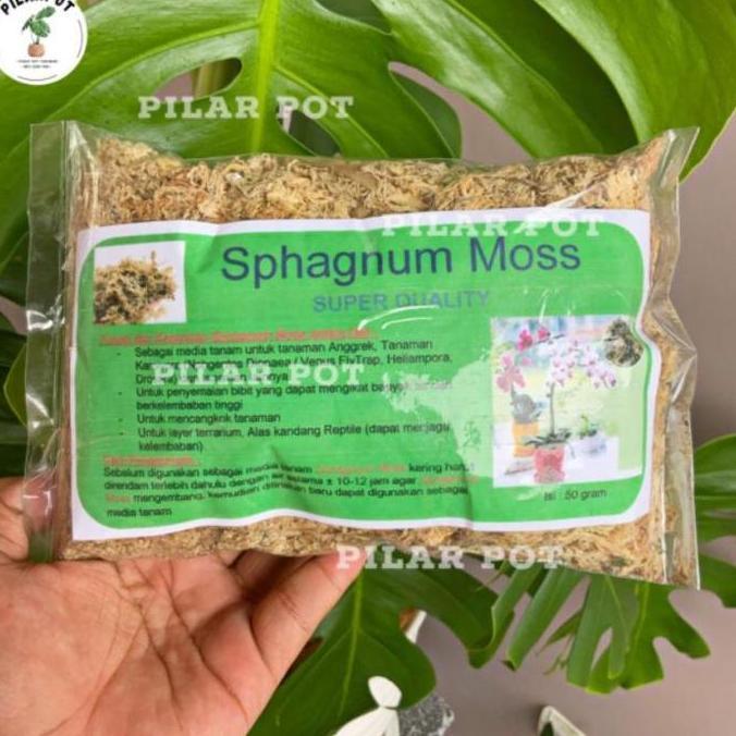 Moss anggrek merk sphagnum moss cocok untuk media tanam bunga anggrek