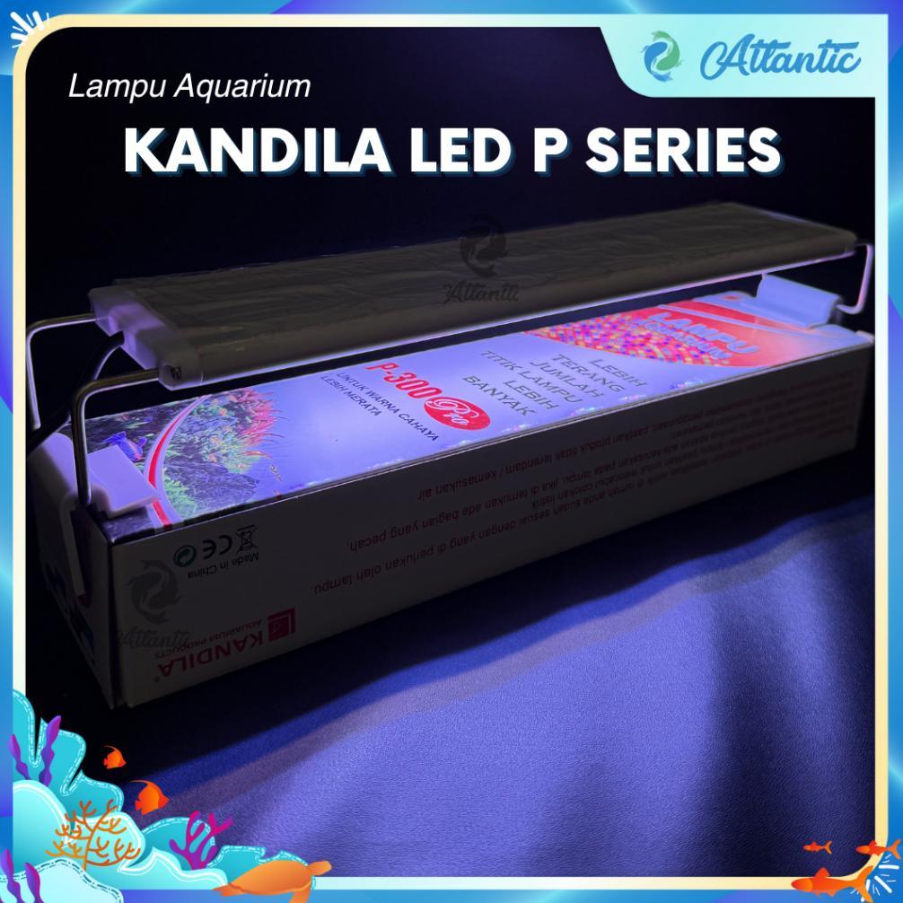[ZGR] LAMPU LED GANTUNG AQUARIUM Super Slim LED Akuarium Lampu Aquarium 20-80 cm