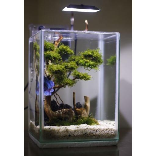 -HSR- Paket Aquascape Mini Fullset Lengkap Dengan Lampu LED