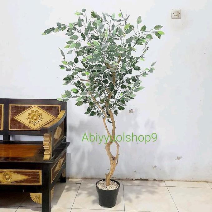 ABIYYUFLOWER9 Pohon Beringin Varigata Artificial Aesthetic Natural Design LATEX dengan Tinggi 170cm 