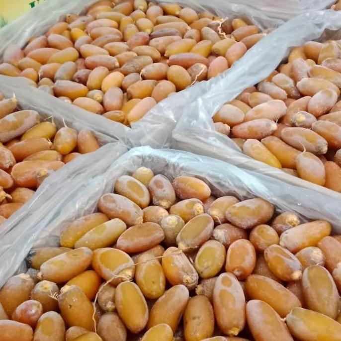 kurma ruthob libya 5kg Premium