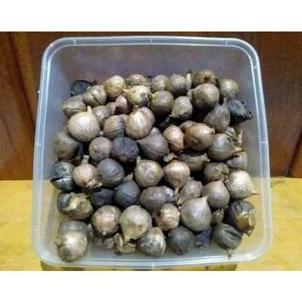 BAWANG HITAM LANANG - BLACK GARLIC -BAWANG TUNGGAL HITAM - BAWANG HITAM TUNGGAL SMR