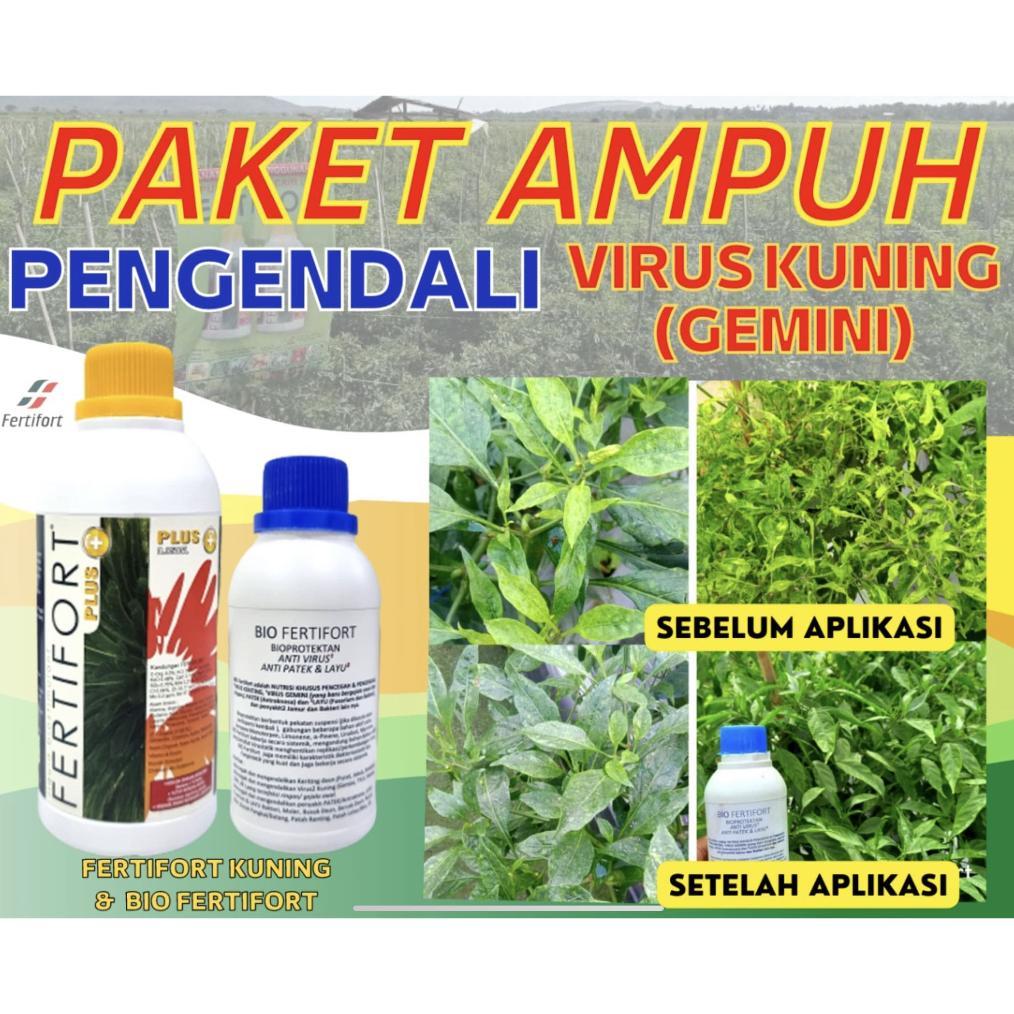 ARN PAKET POC FERTIFORT KUNING + BIO FERTIFORT Anti Virus Gemini Anti Keriting Daun Obat Puret Kerit