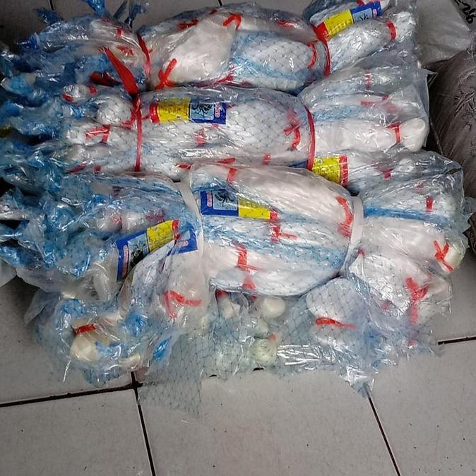 Bst Ready Jaring Penangkap Ikan Jaring Senar 015 Best Seller