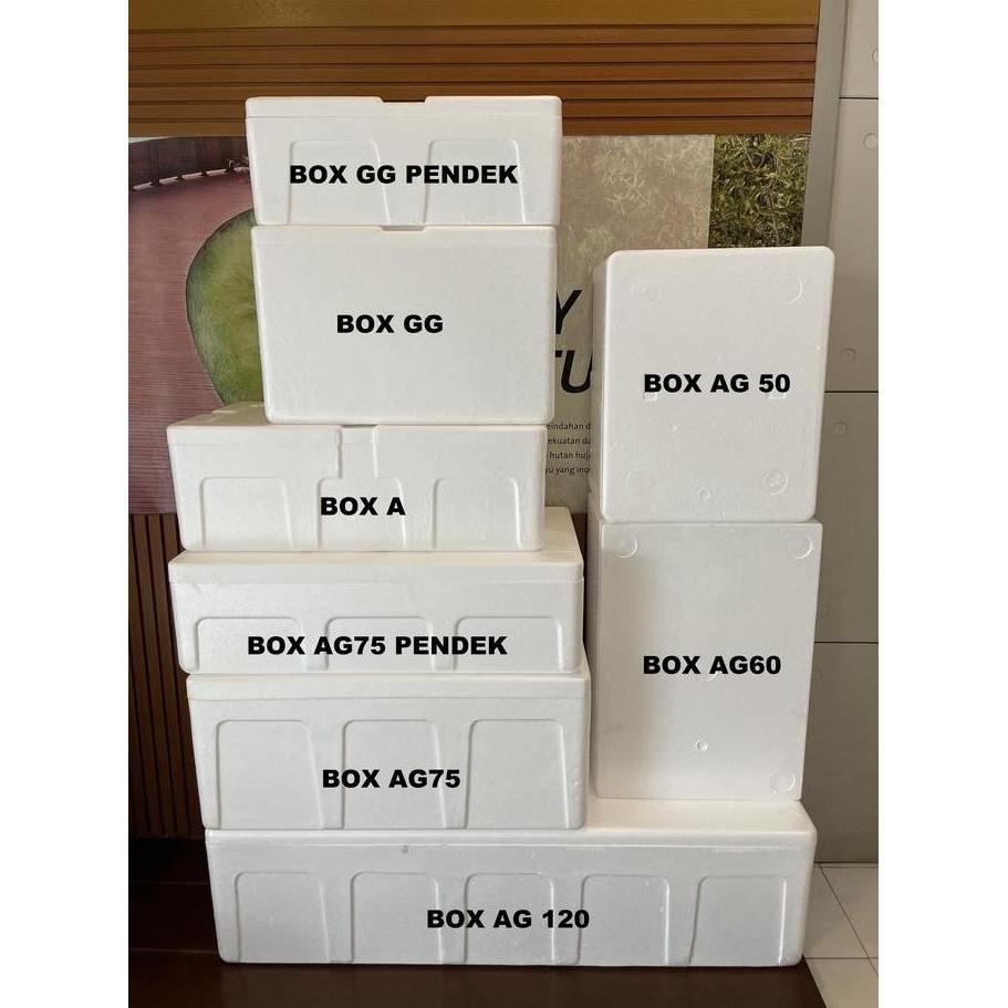 Gifme- Box Styrofoam Besar Box Sterofoam
