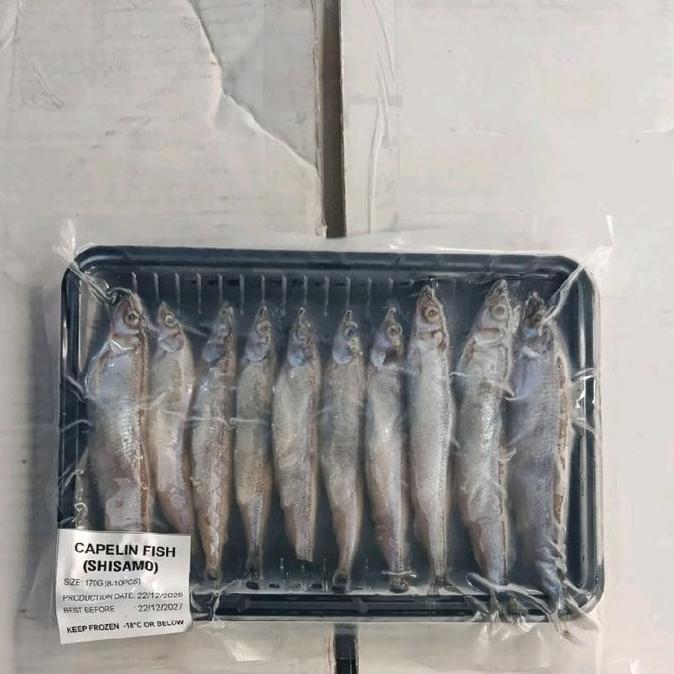 Belisekarang- Shisamo Fish Shisamo Ikan Capelin Premium Japanese Fish