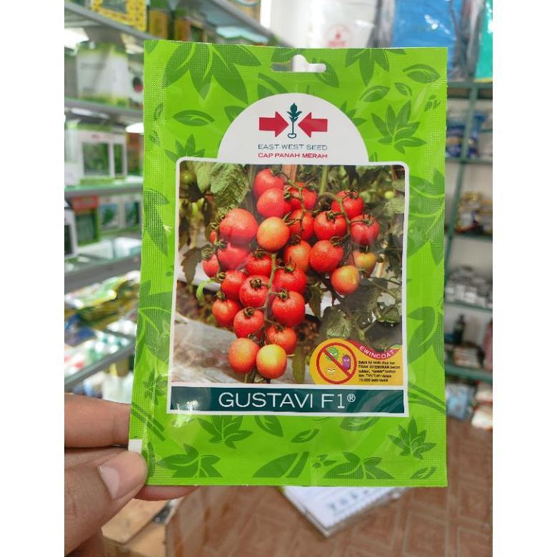 Benih Bibit Tomat Gustavi SP (Kemasan Kecil) 150 Butir Kadaluarsa 2026 Terbaru - Cap Panah Merah