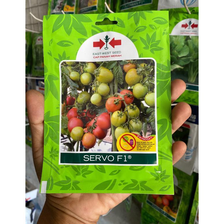 Benih tomat tahan virus Servo f1 isi 150 biji
