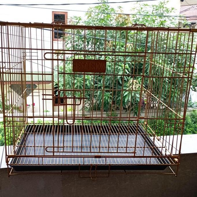 TERBARU - best in show kandang Lipat p c 02