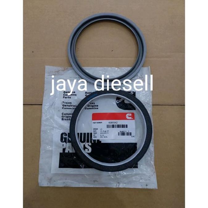 Oil Seal Crankshaft Rear Qsb6.7/Oil Seal Rear /4089342/5259499/4955566