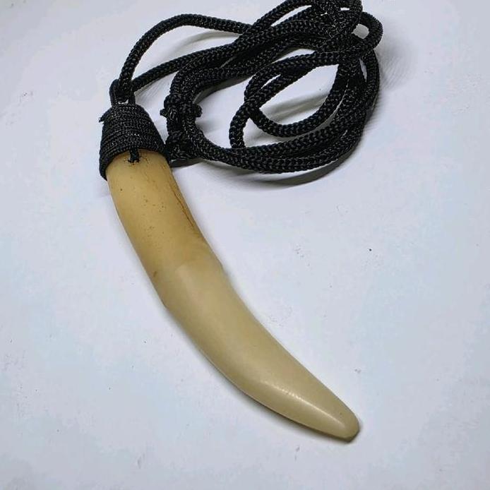 Kalung leontin kucan tarcan hoby