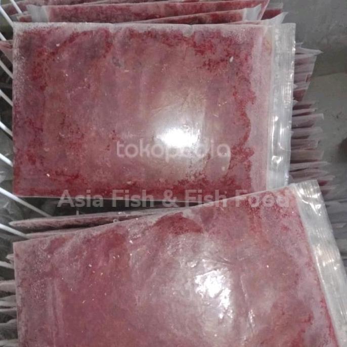 cacing beku cacing BW cacing darah