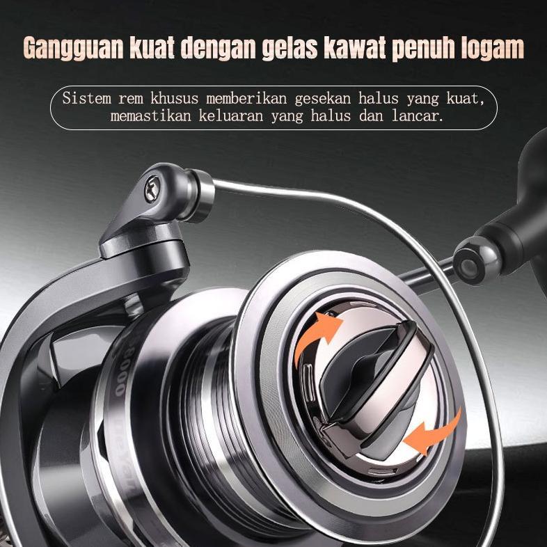 BESTPROMO Reel Pancing DS 8000-10000 Series Dual Purpose Fishing Reel 12+1BB Carp Fishing Reel 4.1:1
