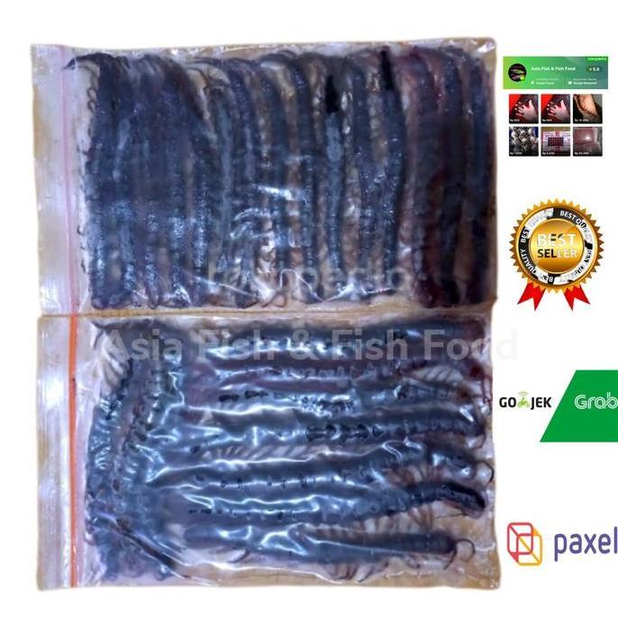 kelabang beku lipan beku Fress