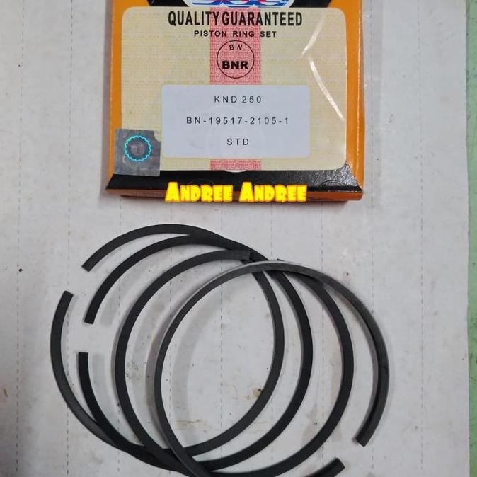 ------] Ring Piston KND-250 DI