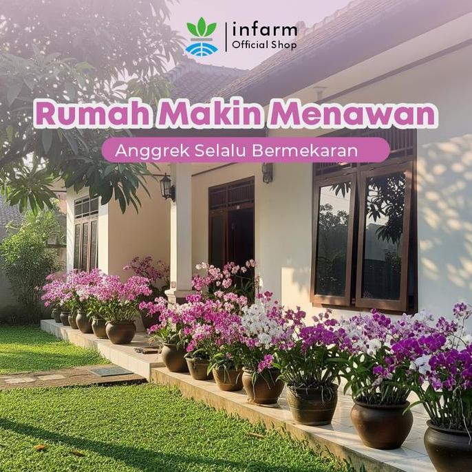 Promo INFARM - Paket Lengkap Pupuk Anggrek Perawatan Premium Angrrek Rajin Bebunga dan Anti Jamur Vi
