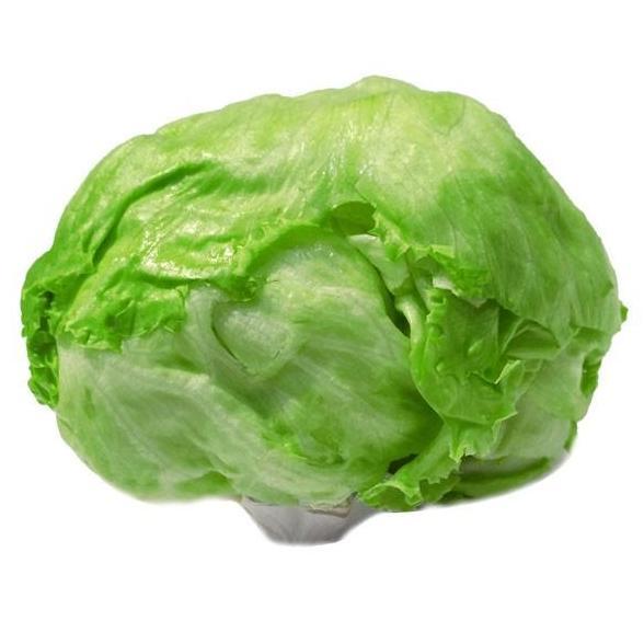 Produk Terbaik] Lettuce Head 580 Gr SURABAYA
