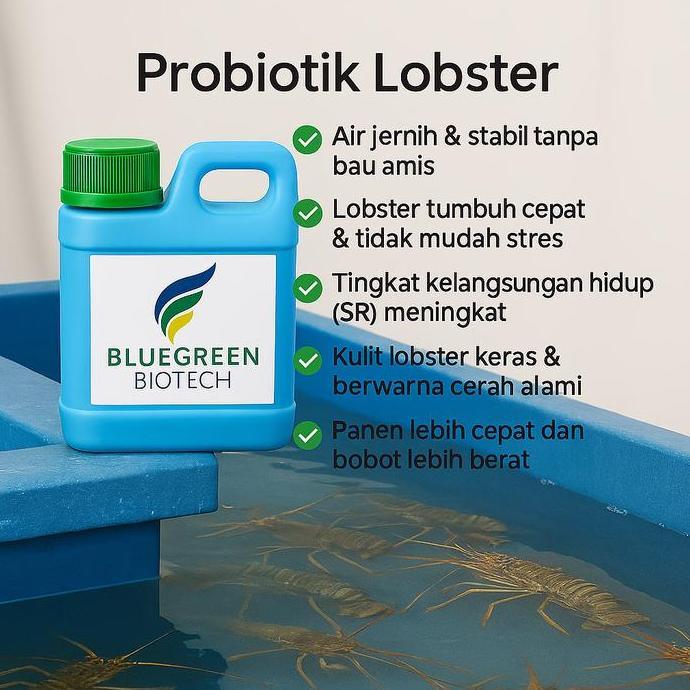TERMURAH - Probiotik Lobster Air Laut