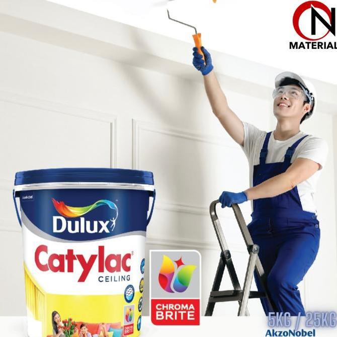 Cat Dulux Catylac Ceiling 25Kg