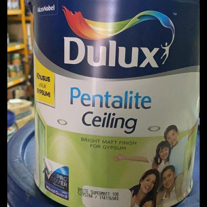 cat dulux ceiling 25kg (pail)