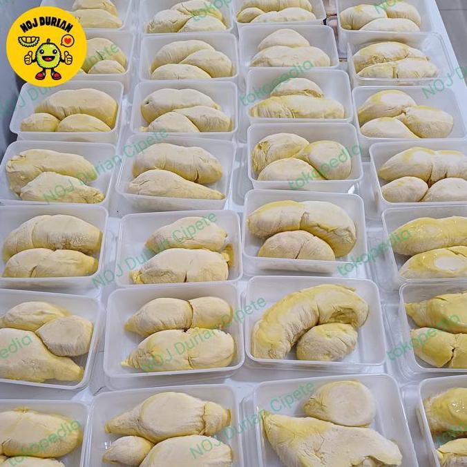 Frutting- Durian Monthong Palu / Montong Palu / Durian Palu