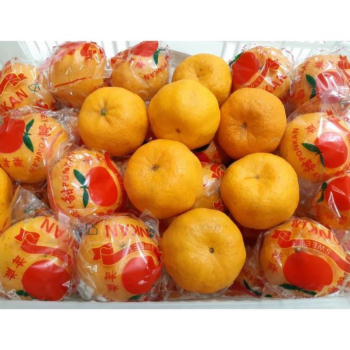 Frutting- Buah Jeruk Mandarin Ponkam Manis 1Kg Import Termurah Dijamin
