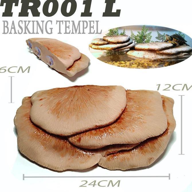 TR005 L BASKING SPOT RAMP ELEVETED OUTCROPS TANGKRINGAN KADAL TEMPAT BERJEMUR HEWAN REPTILE LIZARD B