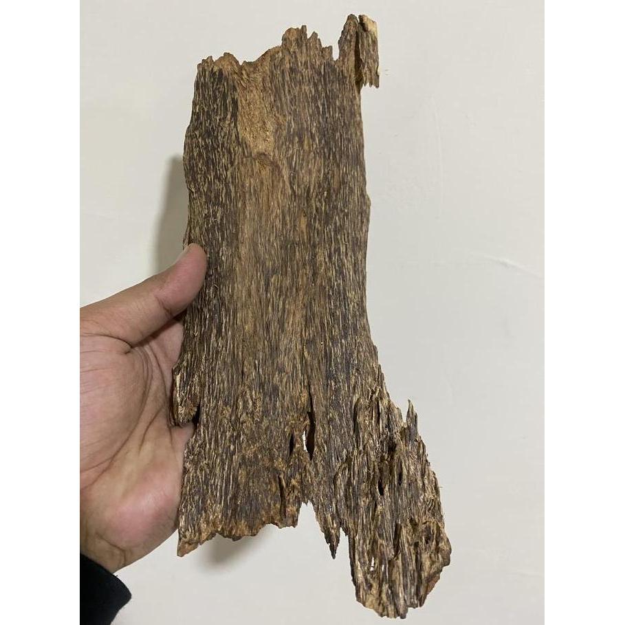 Decor Kayu Gaharu Triple super king 150 gram - Malinau Kalimantan