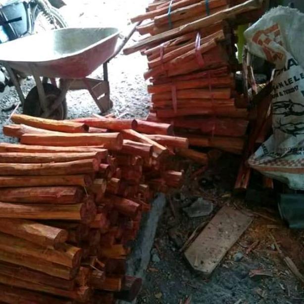 Kayu Secang 1 Kg Asli 100%
