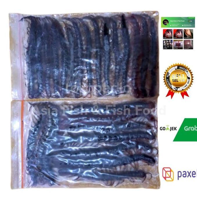 kelabang beku lipan beku Fress