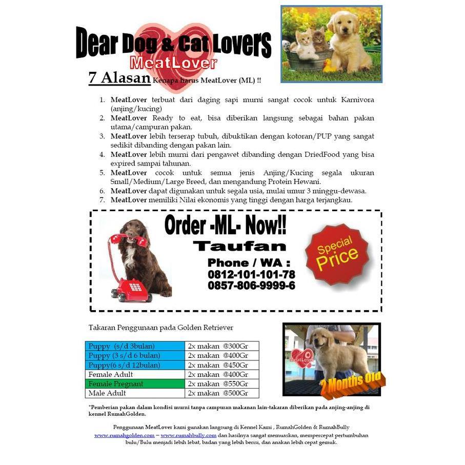 Gogogo- Meatlover Kornet Sapi