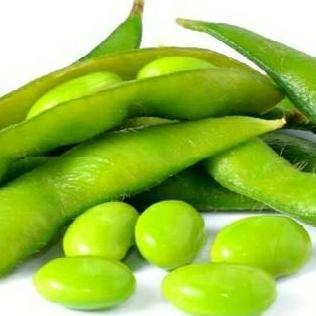 benih KEDELAI EDAMAME JEPANG RYOKO 75 bibit unggul berkualitas