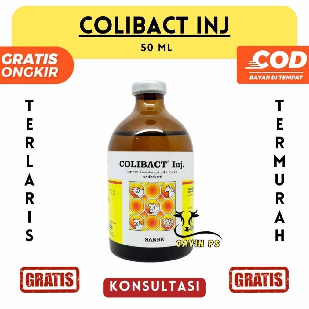 COLIBACT INJEKSI 50ML - Obat Mencret Sapi - Obat Diare Sapi Kambing Domba - Obat Antibiotik Hewan