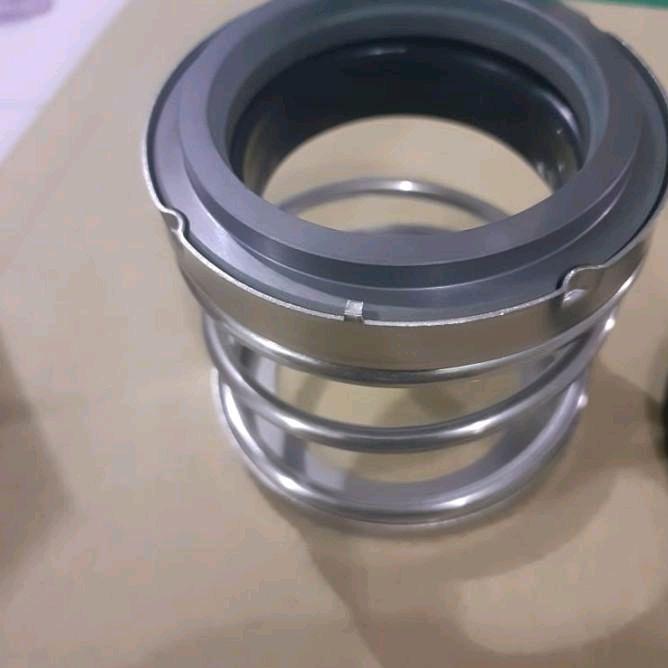 Mechanical Seal 560D-40C + Mechanical Seal Ftk 40Mm