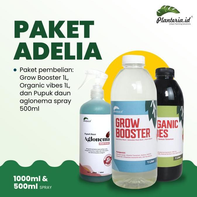 Grdx- Pupuk Organik Vitamin B1 Aglonema Paket Adelia Tanaman
