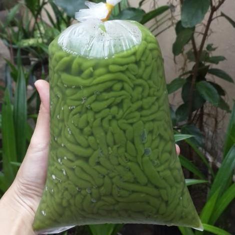 CENDOL DAWET DAUN SUJI ASLI TANPA PENGAWET (INSTAN/SAMEDAY)