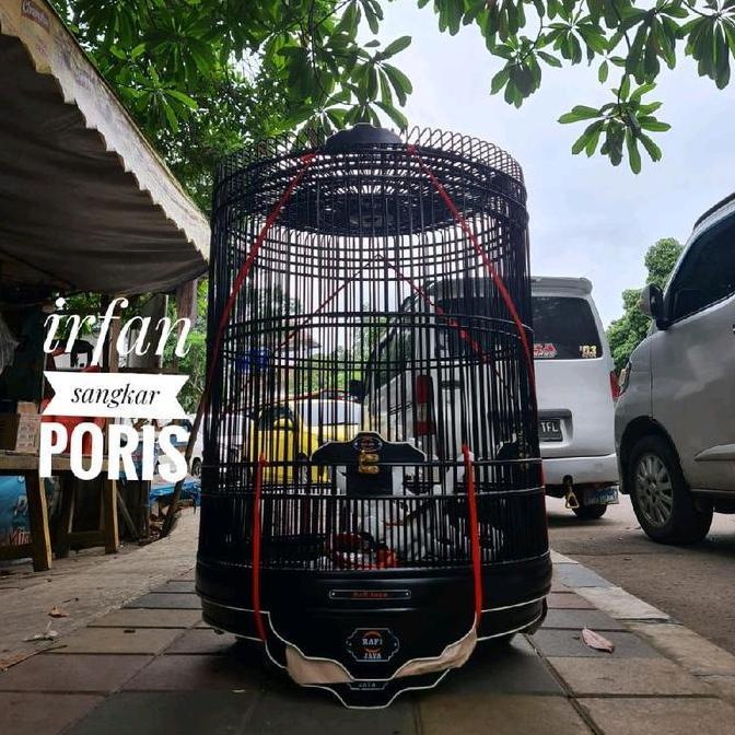 Bridwoi- Murai Rafi Jaya No3