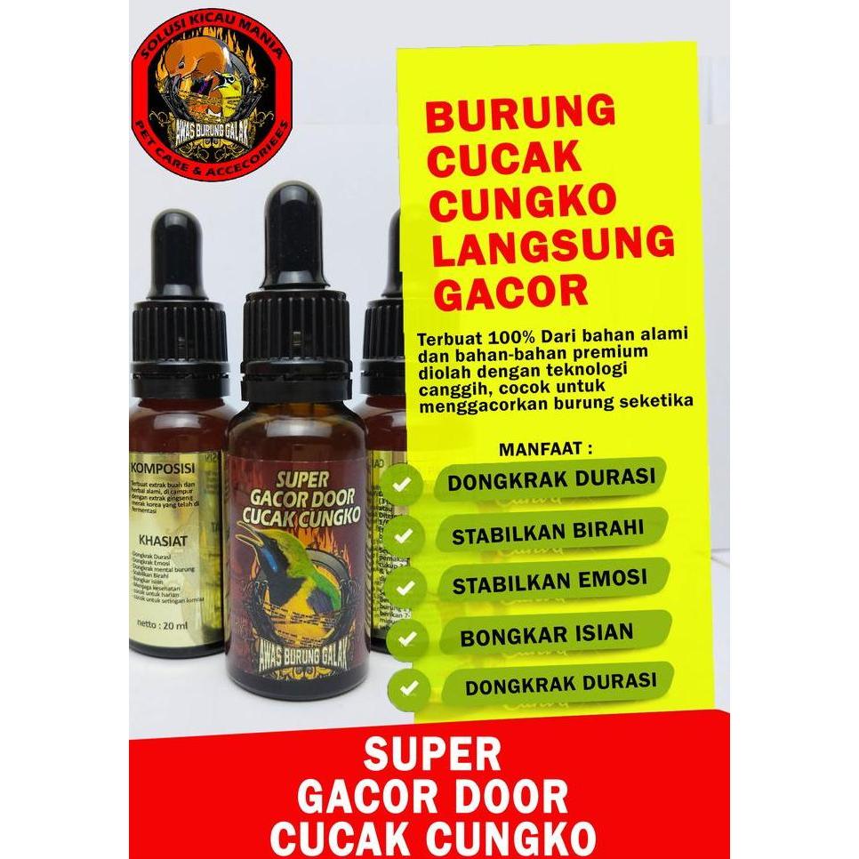 Bridwoi- Super Gacor Door Cucak Cungko Penggacor Seketika