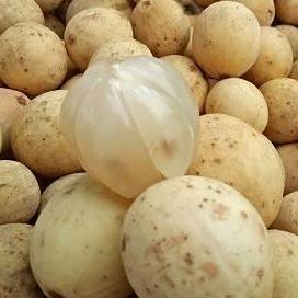 Bnbx- Duku Palembang Asli Kompring / Asli Manis / Buah Segar & Fresh / 1 Kg