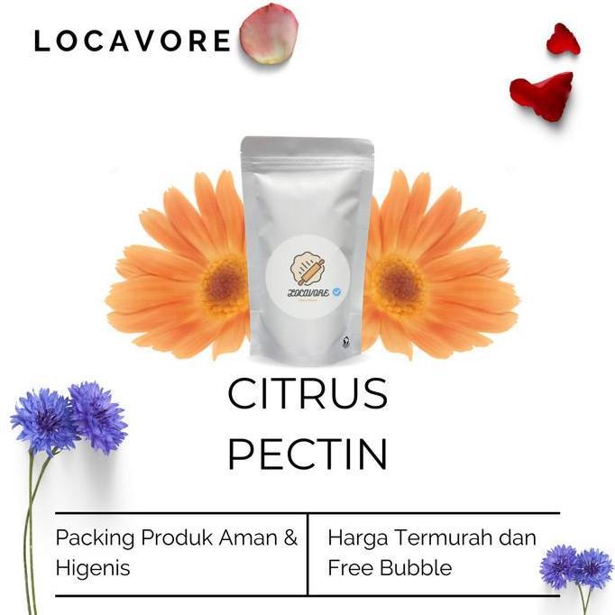 Citrus Pectin / Pektin Kulit Jeruk / LM Pectin 100 GR