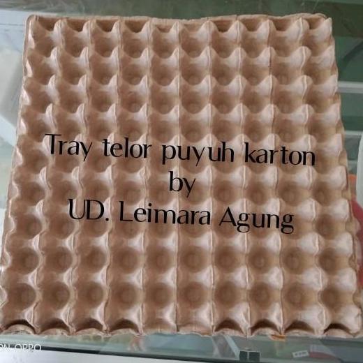 tray puyuh karton/tempat telur puyuh karton
