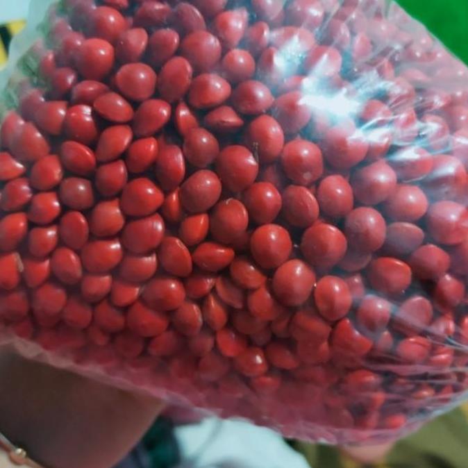 Biji Saga Merah 1 Kg Siap Goreng Organik Bibit Hasil Kehutanan Indo