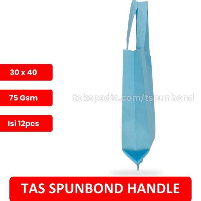 Picx- Goodie Bag Spunbond Handle Lusinan 30X40 / Kantong Belanja Murah-Biru Muda