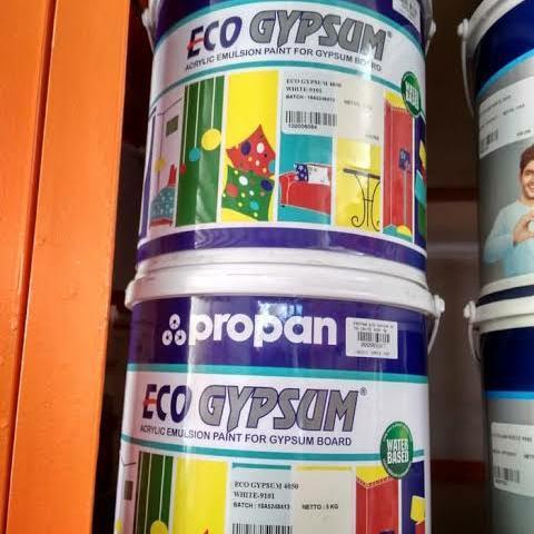 propan ECO gypsum 25kg cat