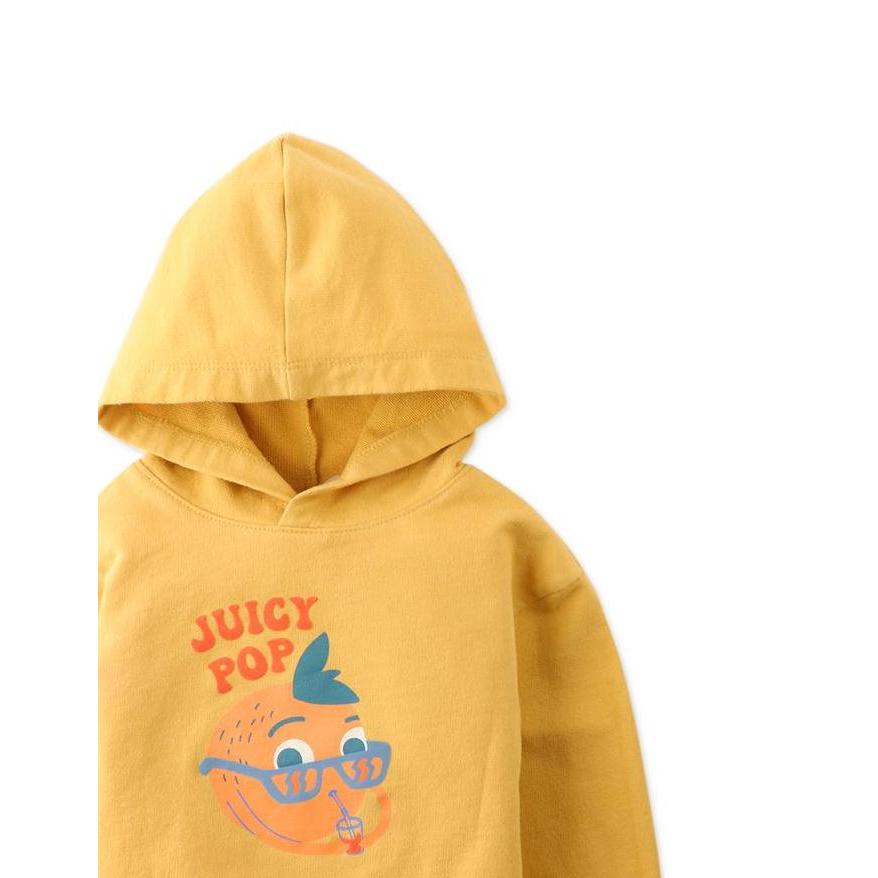 Gingersnaps Baby Hodgepodge Pullover - Jaket Bayi Laki-laki (TERBAIK) (TERBARU) (TERMURAH)