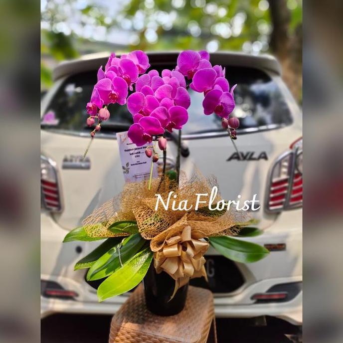 Terlaris Bunga Anggrek Hadiah Gift Ulang Tahun Tanaman Hidup Buket Bunga