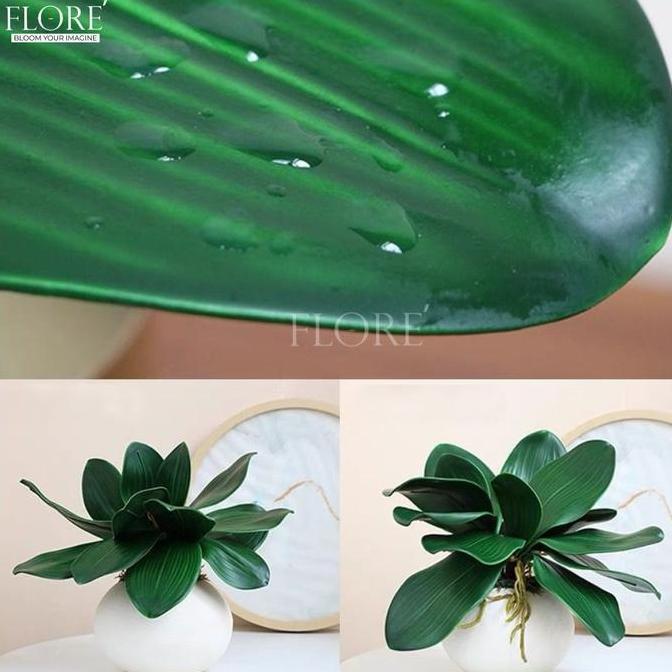 Daun Anggrek Latex [M] /Daun Anggrek Latex Jumbo/Daun Anggrek Artificial (KN-384)