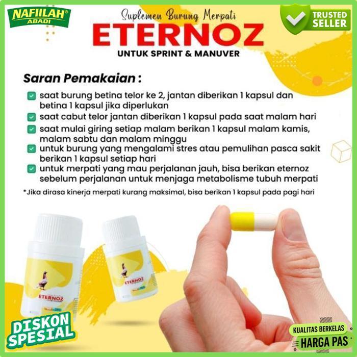 New Jamu Merpati Eternoz Kuning Putih Burung Sprint Manuver Burung Merpati
